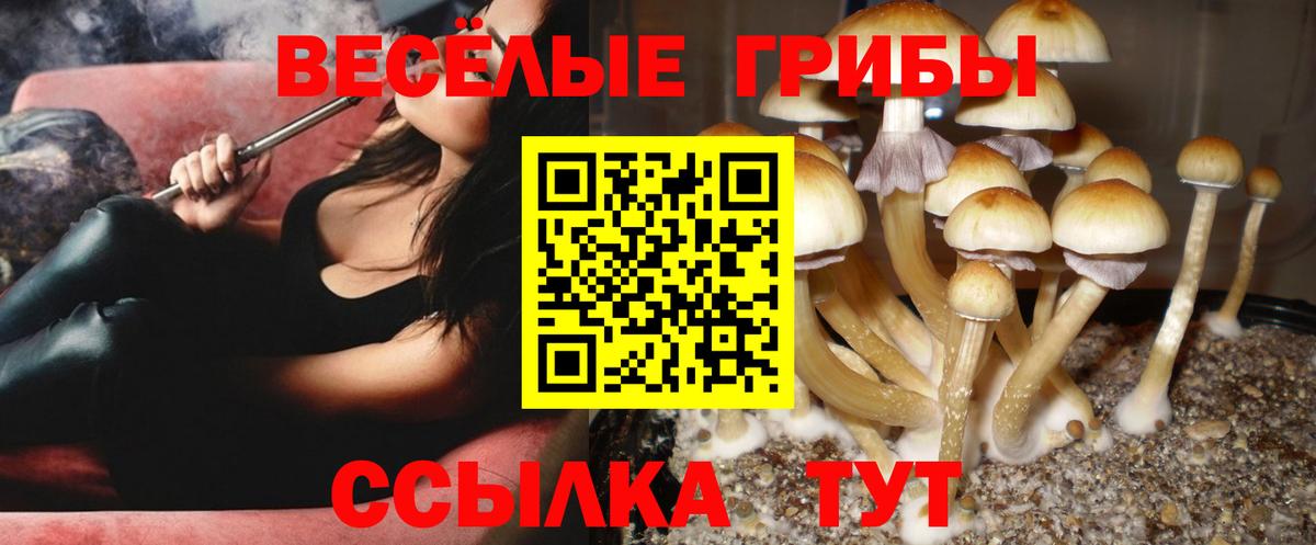 Псилоцибиновые грибы прущие грибы  Вход с VPN  Новороссийск 